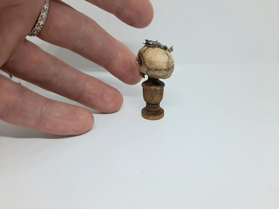 Miniaturbild: Skull with barbed wire.