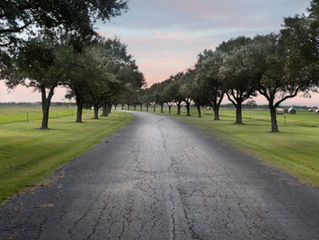 Travel back in time with me to a quieter place