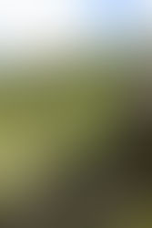 MBNA Three Peaks of Yorkshire Walk