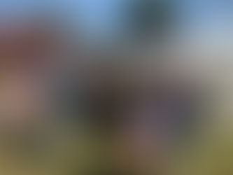 Garden opened to the public with donations to NEWSAR