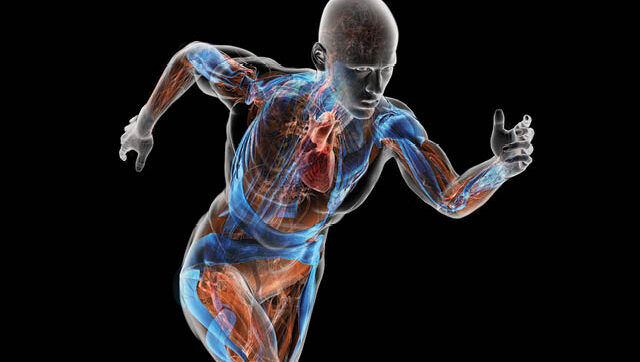 How Old Injuries Can Still Be Causing Pain Years Later