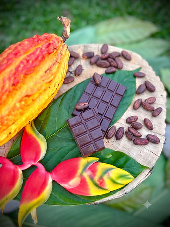 Wayta Chocolate - Tree to Bean To Bar