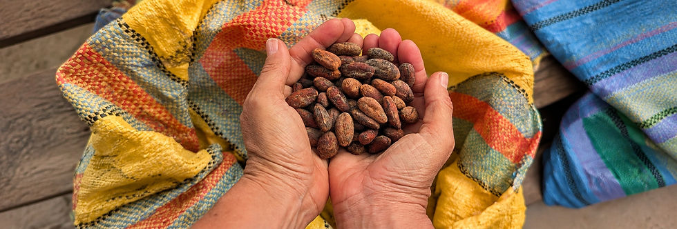 Wayta_CacaoSeeds_FineDeAroma_Hero.jpg