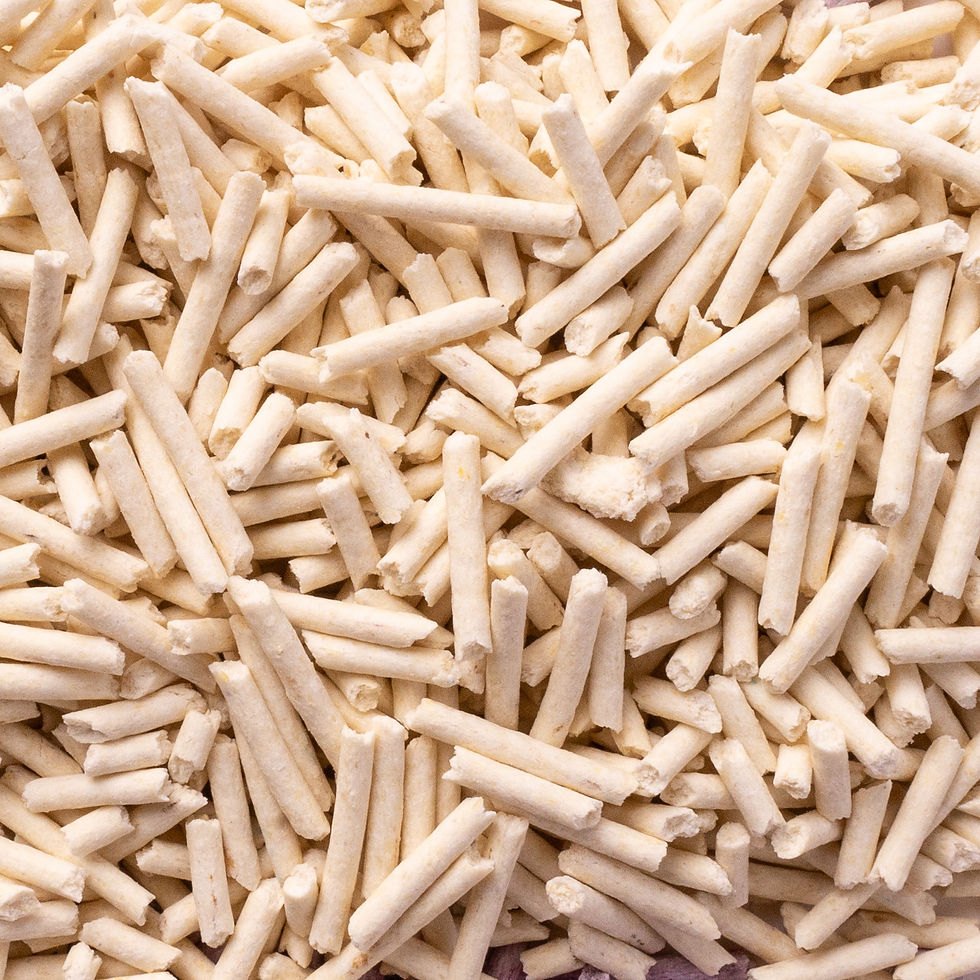 Miniatura: TOFU CAT LITTER | AROMA PINO