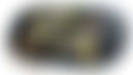 Sony e seu console abandonado