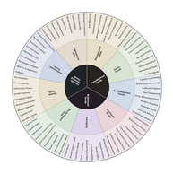wheel of needs with 81 needs, 9 need domains and 3 core needs