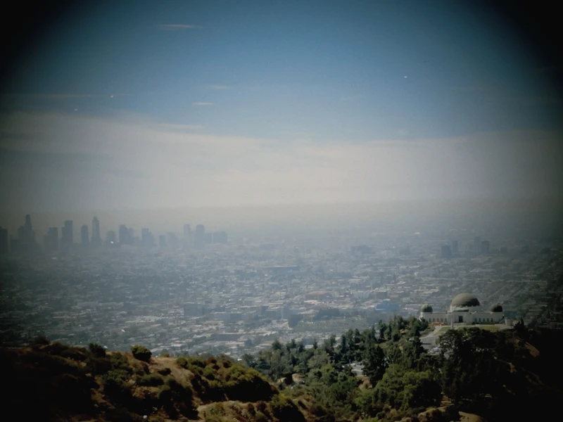 This is a view over LA Downtown taken at Griffith Park on a hike and I picked it asa a cover for my first elearning course: How to start a business