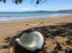 COSTA RICA