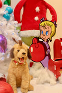 The grinch who stole christmas prop rentals,
the grinch props, whoville props