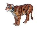 Circus carnival party rentals