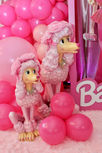 Barbie prop rentals
candyland rentals