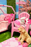 Barbie prop rentals
Barbie party