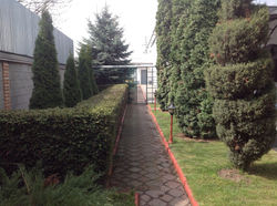 image (2)