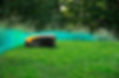 Robotic lawn mower on a grassy field with trees in the background.