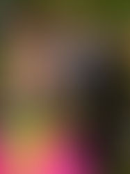 Anna Waigand Dress Story 