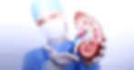 kidney_edited.jpg
