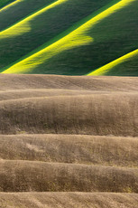 Toscana2.jpg