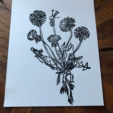 Dandelion Lifecycle Print