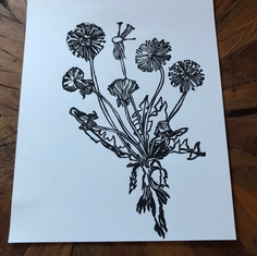 Dandelion Lifecycle Print