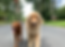 IMG_7926_edited.png