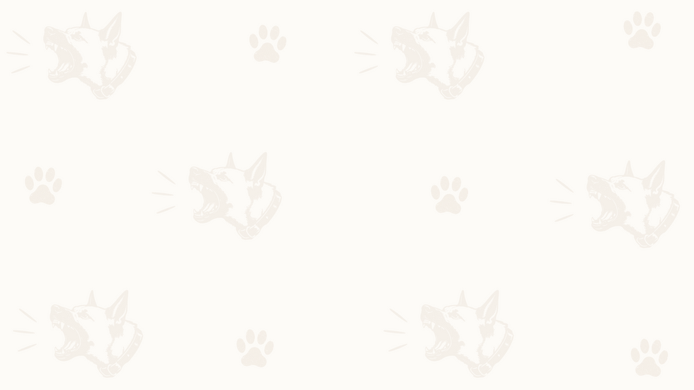 Untitled - August 03, 2026 at 10.31.56 (3).png