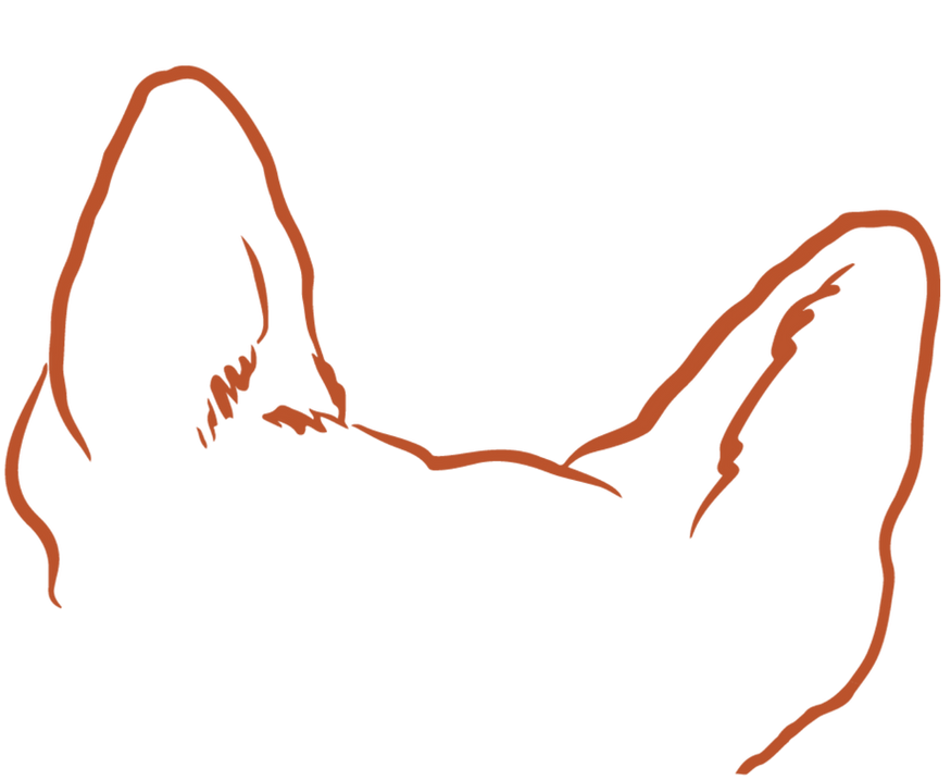 Untitled (13).png