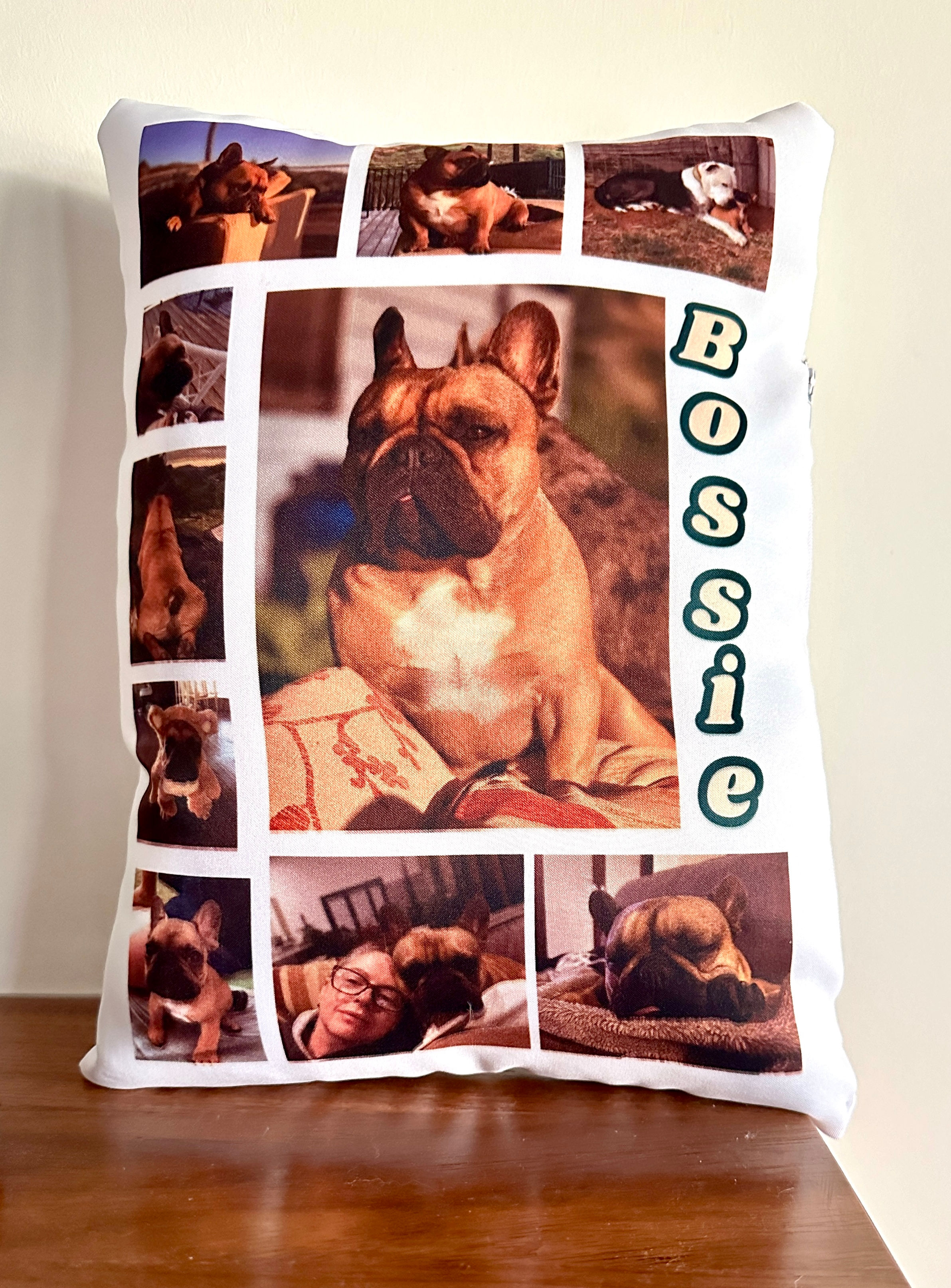 Collage Pillows