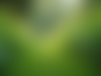 The Importance of Sustainable Living in Today's World