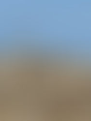 Delos & Mykonos Islands, Greece - September 2025