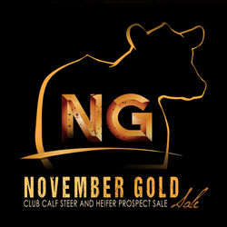 novemberGold_logo