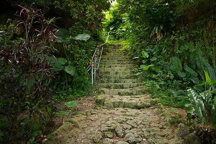 石畳の階段は、運命の道を一歩ずつ進む姿そのもの。占いで迷いを解き、あなたの未来への階段を照らします。