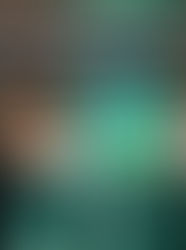 Hulk Haulers VA - 윈체스터 VA에서 스트레스 없는 이사를 위한 신뢰할 수 있는 파트너