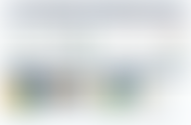 Movers and Junk Removal in Winchester, VA: How to Save Money Before You Move