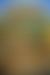 Junk Removal & Moving Services in Winchester, VA & Stephens City | Fast, Affordable Cleanouts Before You Move