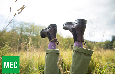 Untitled design (14).png