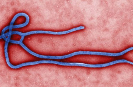Let's Talk Ebola