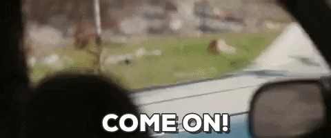 gif1.gif