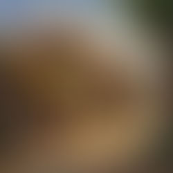 Elemental Wisdom Series - Earth I