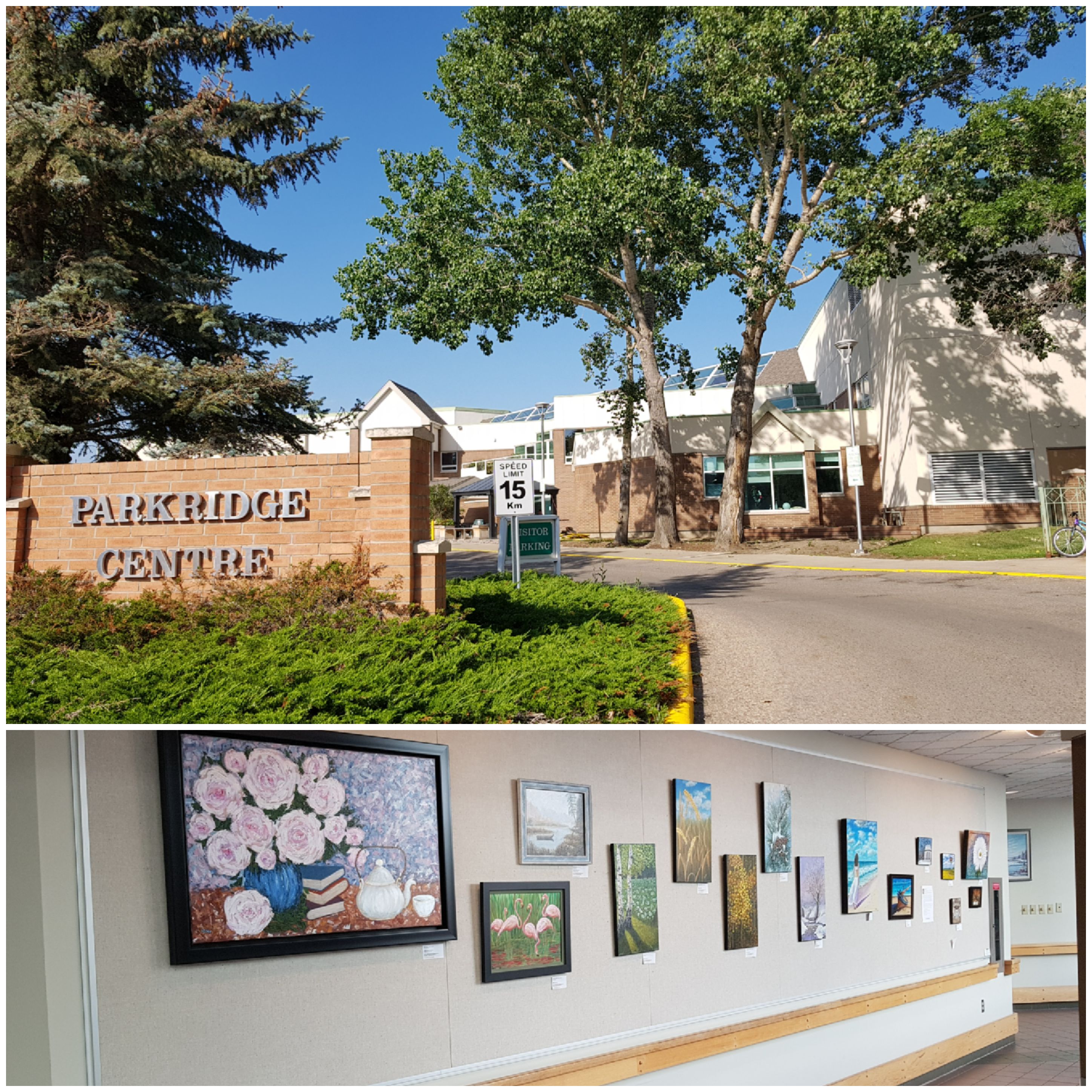 2019 Parkridge Centre Show & Sale