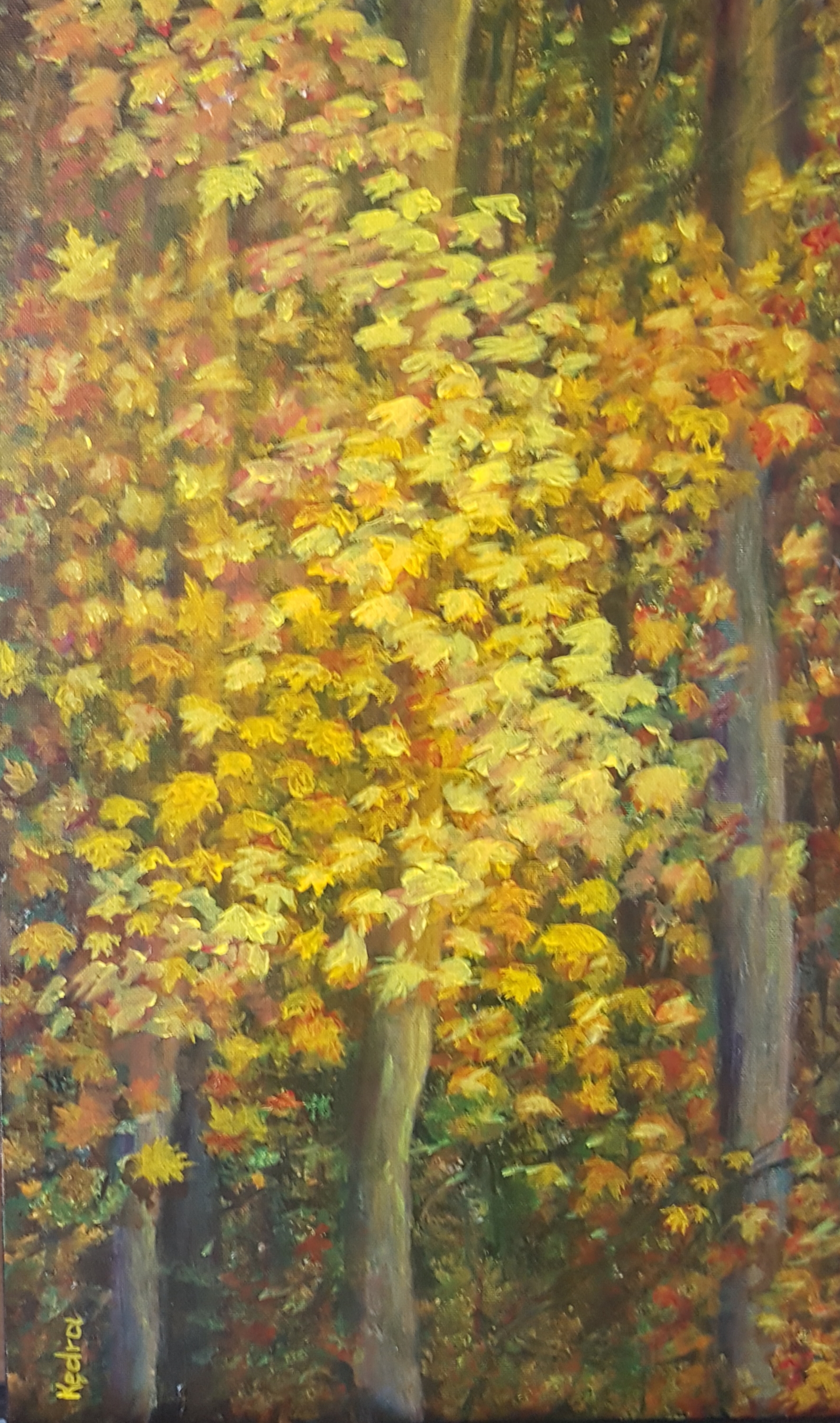 Seasons II Autumn in the Woods