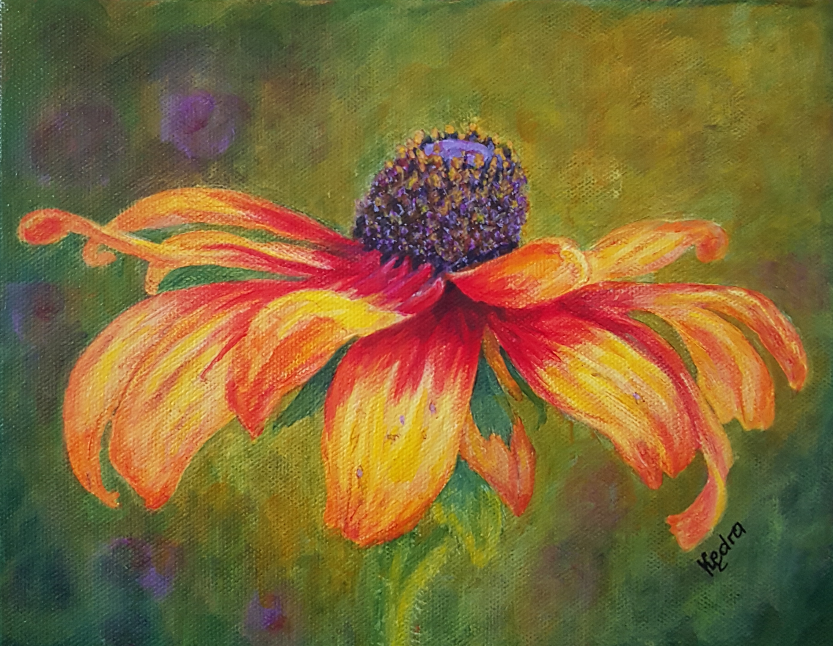 Yellow Coneflower.