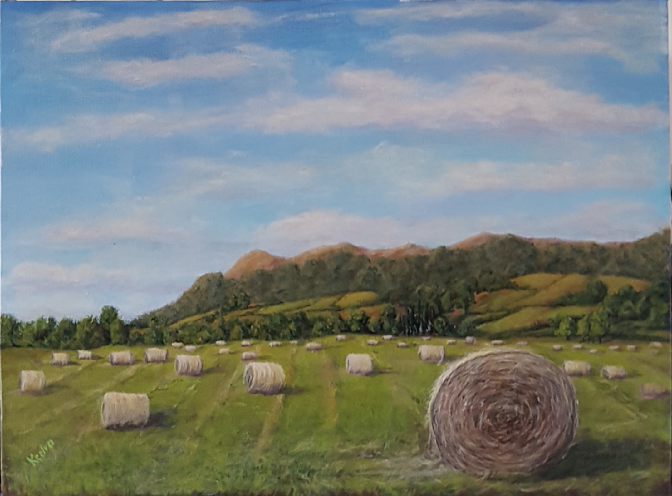 Bales Galore
