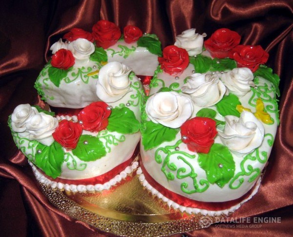 tort-cifra-00006