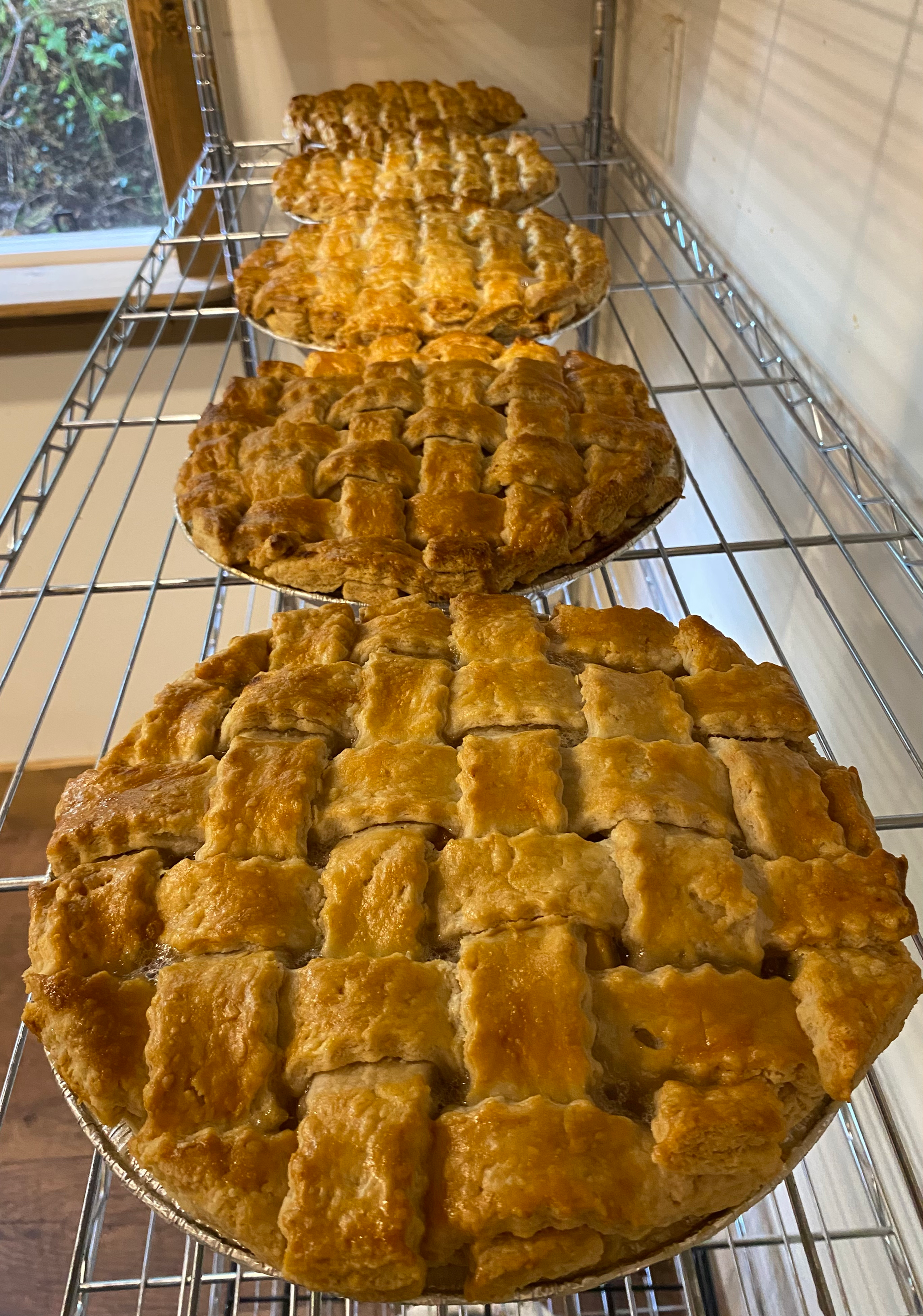 Pear Pie 10"