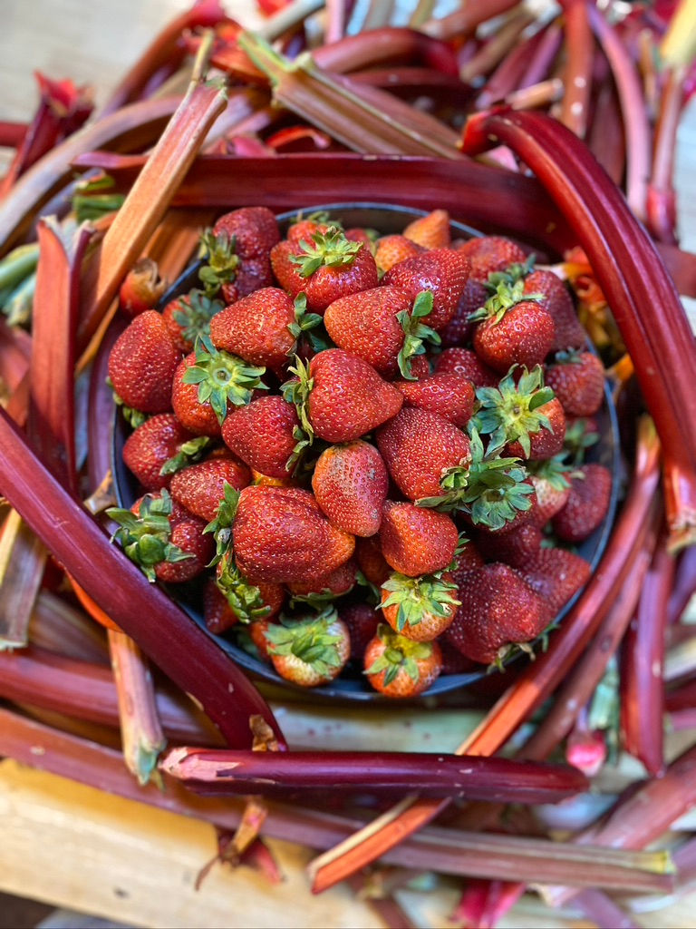Strawberry Rhubarb Pie