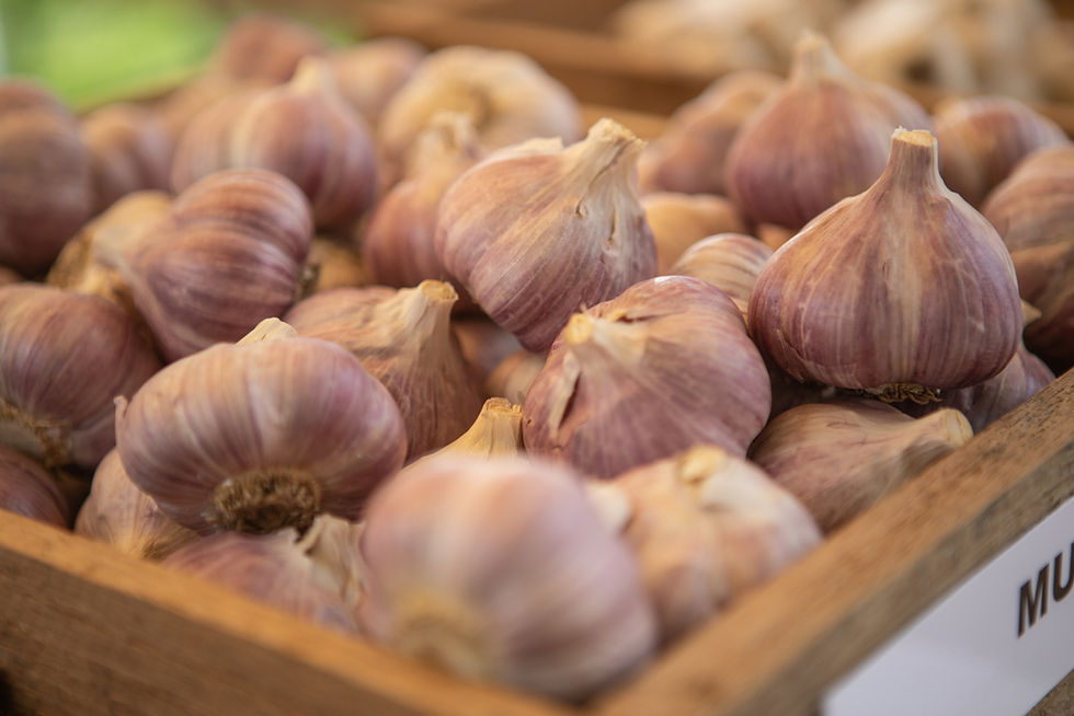 Garlic bulb
