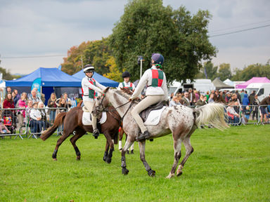 NEW: Win A Family Pass To The Autumn Show and Horse Trials 2026