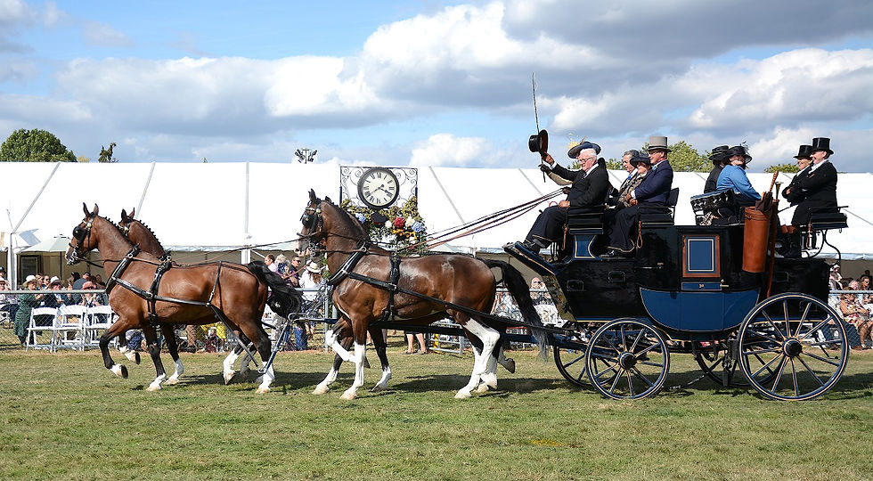The Edenbridge & Oxted show