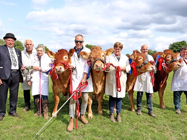 Win A Family Ticket To The South Of England Show 2026!