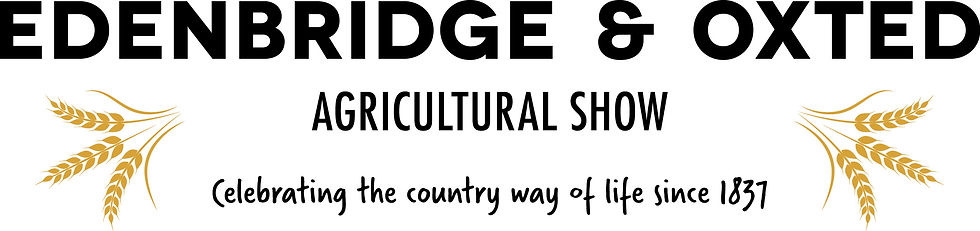 Edenbridge & Oxted logo